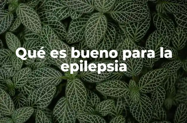 Qué es Bueno para la Epilepsia