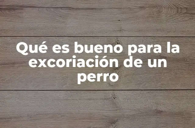 Qué es Bueno para la Excoriación de un Perro