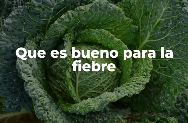 Que es Bueno para la Fiebre
