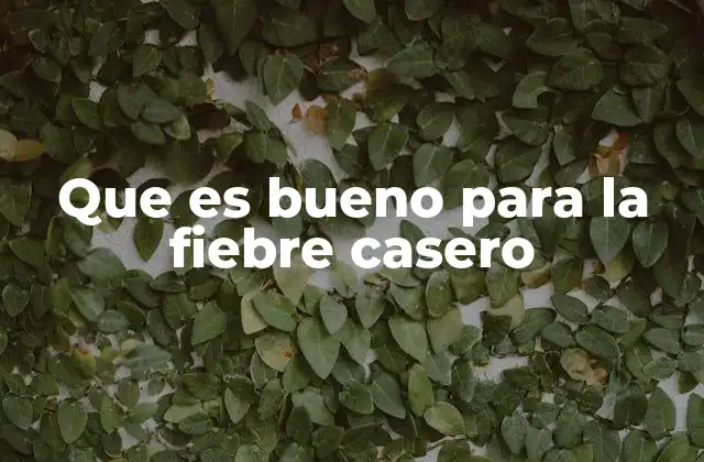 Que es Bueno para la Fiebre Casero