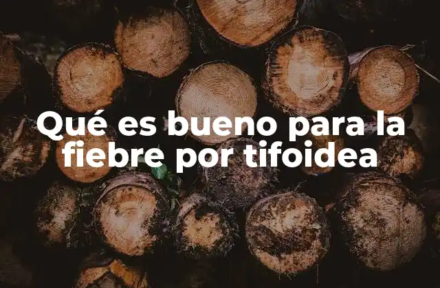 Qué es Bueno para la Fiebre por Tifoidea