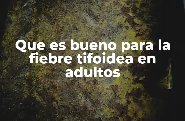 Cómo apoyar la recuperación de un adulto con fiebre tifoidea