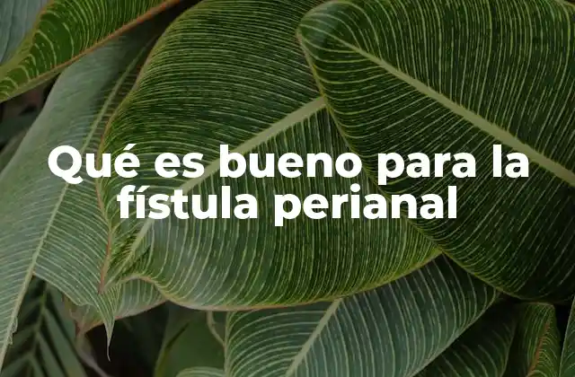 Qué es Bueno para la Fístula Perianal