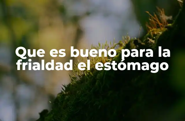 Que es Bueno para la Frialdad el Estómago