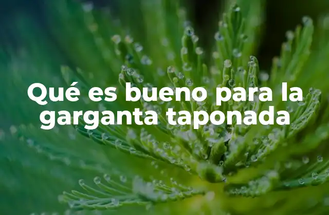 Qué es Bueno para la Garganta Taponada