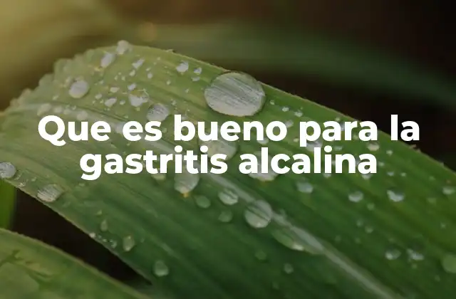 Que es Bueno para la Gastritis Alcalina