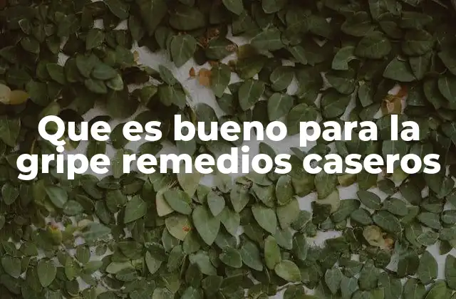 Que es Bueno para la Gripe Remedios Caseros