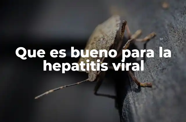 Que es Bueno para la Hepatitis Viral