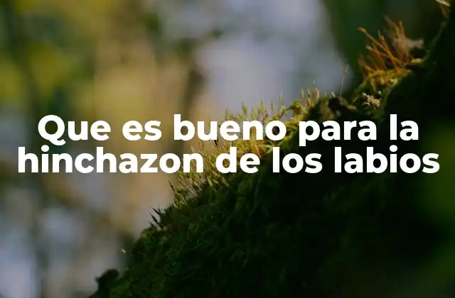 Que es Bueno para la Hinchazon de los Labios