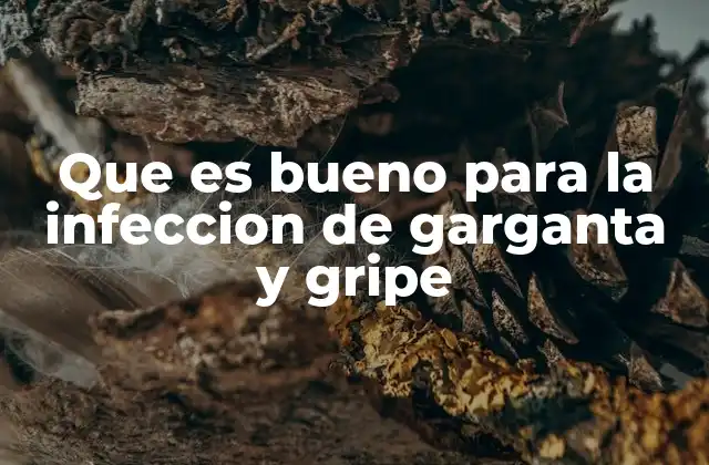 Que es Bueno para la Infeccion de Garganta y Gripe