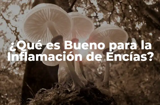 ¿qué es Bueno para la Inflamación de Encías?