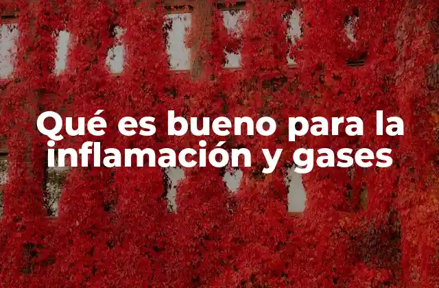Qué es Bueno para la Inflamación y Gases