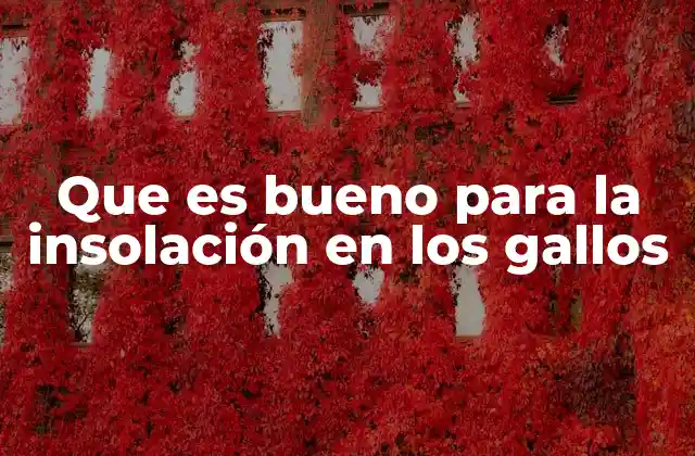 Que es Bueno para la Insolación en los Gallos