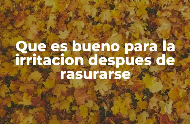 Que es Bueno para la Irritacion Despues de Rasurarse