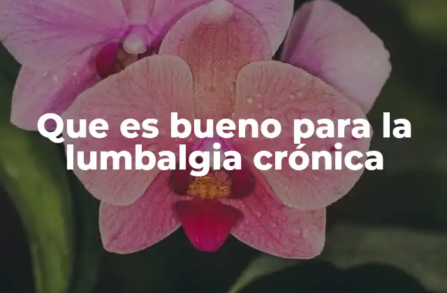 Que es Bueno para la Lumbalgia Crónica