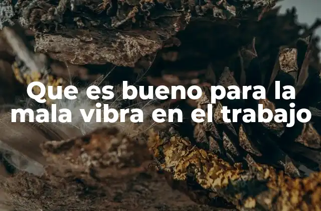 Que es Bueno para la Mala Vibra en el Trabajo