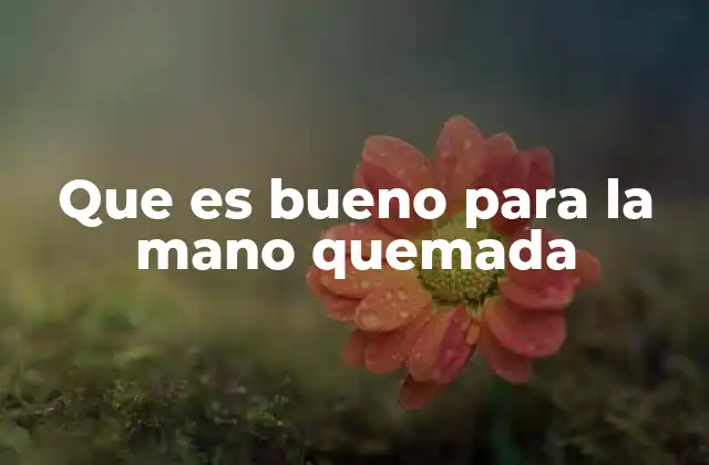 Remedios naturales para aliviar una quemadura en la mano