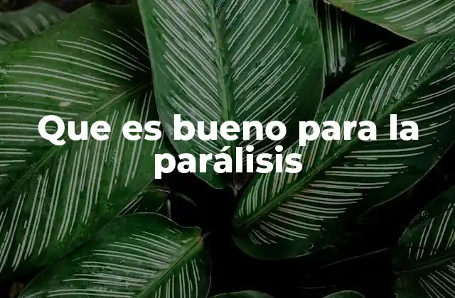 Que es Bueno para la Parálisis 2 Cómo abordar la parálisis desde una perspectiva integral