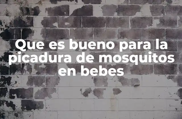 Que es Bueno para la Picadura de Mosquitos en Bebes