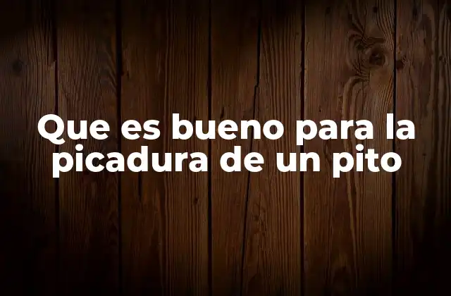 Que es Bueno para la Picadura de un Pito