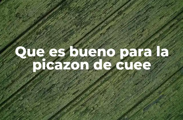 Causas comunes de la picazón íntima femenina