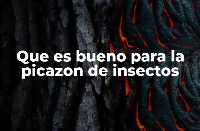 Que es Bueno para la Picazon de Insectos