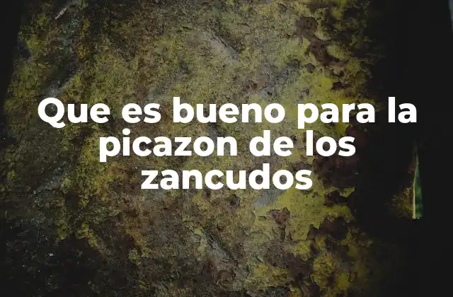 Que es Bueno para la Picazon de los Zancudos
