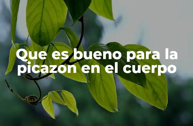 Que es Bueno para la Picazon en el Cuerpo