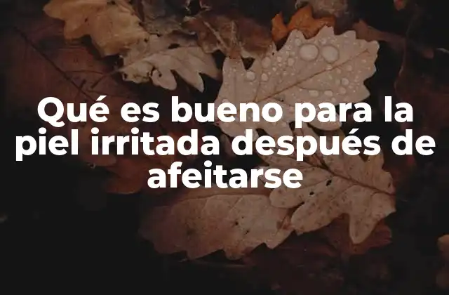 Qué es Bueno para la Piel Irritada Después de Afeitarse