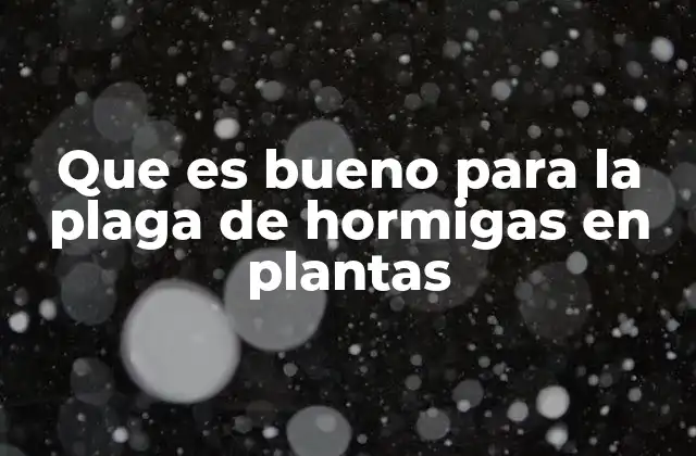 Que es Bueno para la Plaga de Hormigas en Plantas