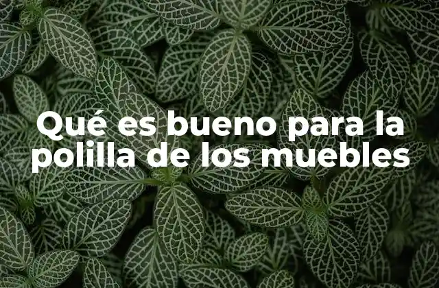 Cómo identificar una infestación de polilla de los muebles