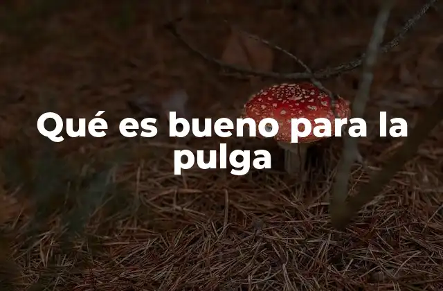 Qué es Bueno para la Pulga 2 Cómo el entorno favorece a las pulgas