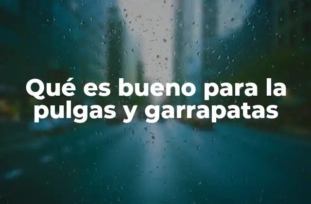 Qué es Bueno para la Pulgas y Garrapatas