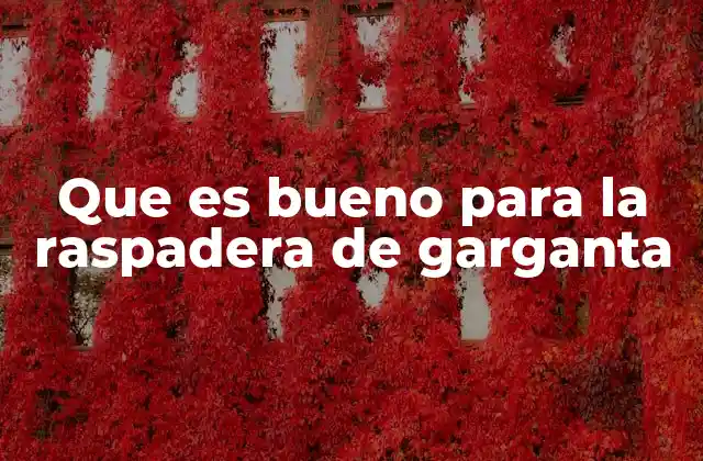 Que es Bueno para la Raspadera de Garganta