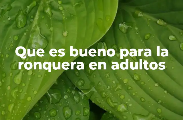 Que es Bueno para la Ronquera en Adultos