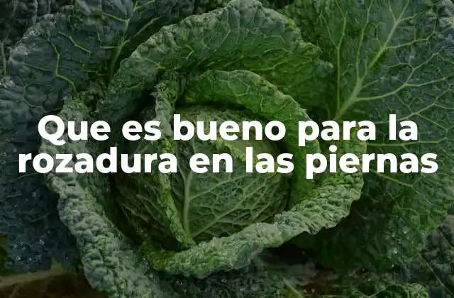 Que es Bueno para la Rozadura en las Piernas