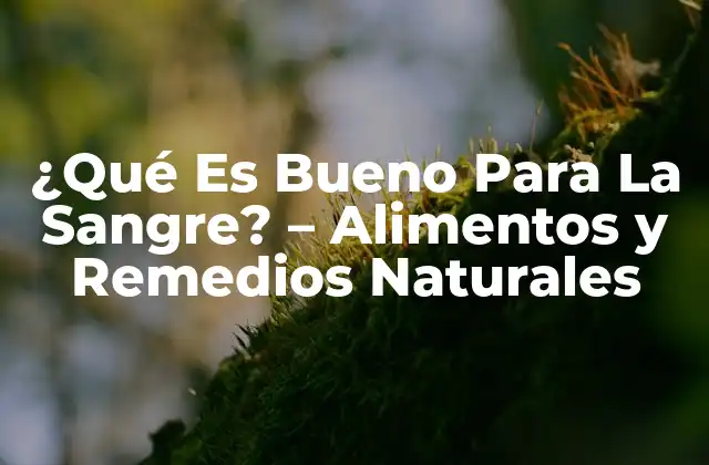 ¿qué es Bueno para la Sangre? - Alimentos y Remedios Naturales 2 Alimentos Ricos en Hierro