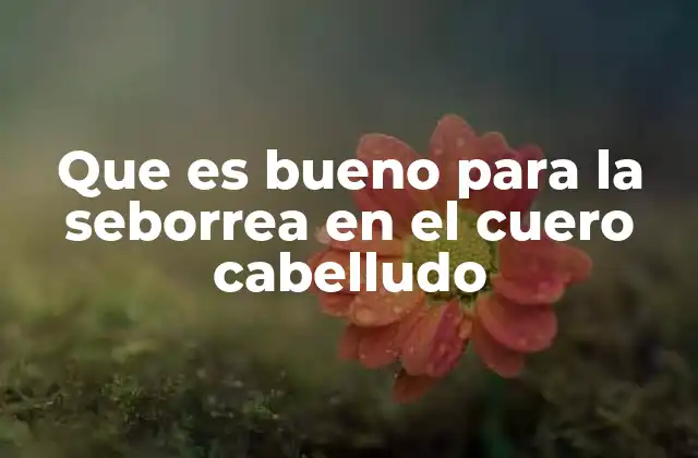 Cómo abordar la seborrea desde un enfoque integral