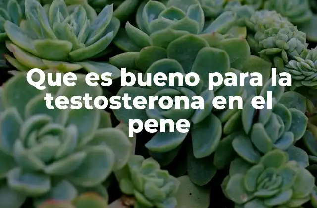 Que es Bueno para la Testosterona en el Pene
