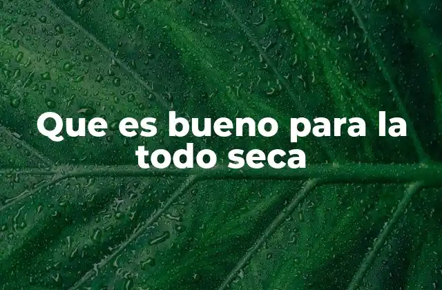 Que es Bueno para la Todo Seca