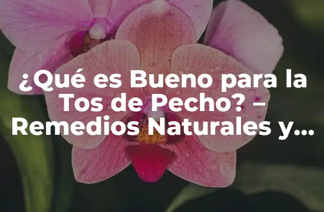 ¿qué es Bueno para la Tos de Pecho? – Remedios Naturales y Efectivos