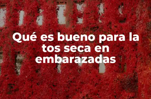 Qué es Bueno para la Tos Seca en Embarazadas