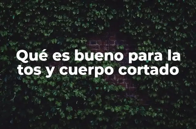 Qué es Bueno para la Tos y Cuerpo Cortado