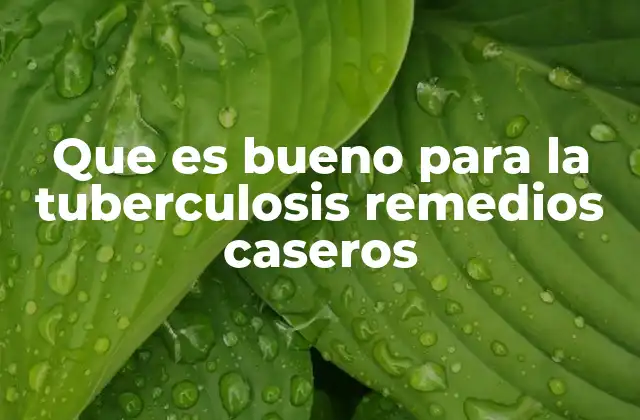 Que es Bueno para la Tuberculosis Remedios Caseros