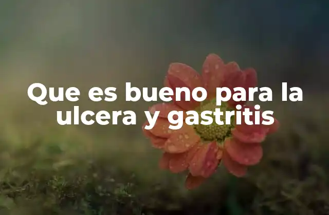 Que es Bueno para la Ulcera y Gastritis