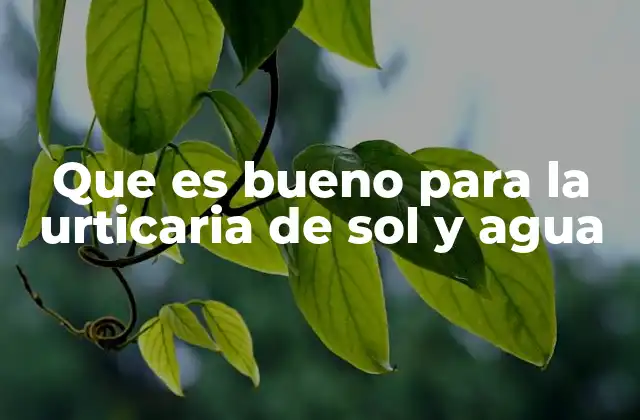 Que es Bueno para la Urticaria de Sol y Agua