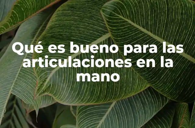 Qué es Bueno para las Articulaciones en la Mano