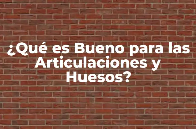 ¿qué es Bueno para las Articulaciones y Huesos?