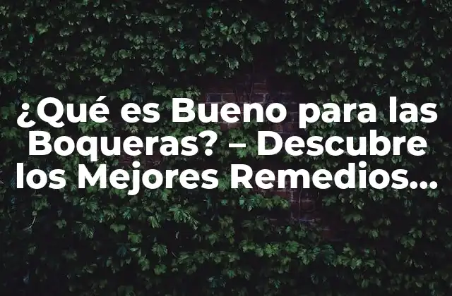 ¿qué es Bueno para las Boqueras? – Descubre los Mejores Remedios Naturales