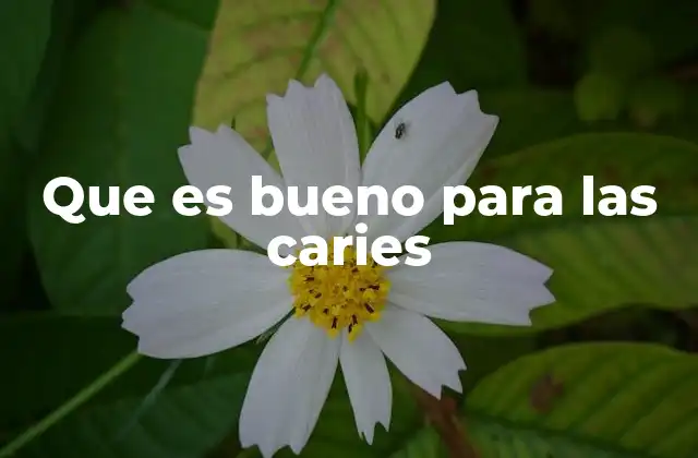 Cómo el estilo de vida afecta la salud dental